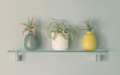 What to Expect During a Professional Interior Painting Service?