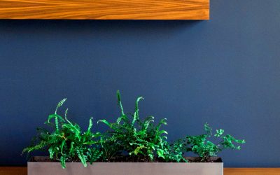 The Importance of Interior Painting in First Impressions for Guests